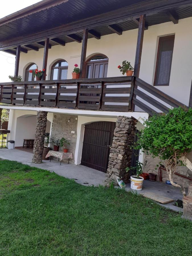Casa De Vacanta Mirela Novaci-Străini Buitenkant foto