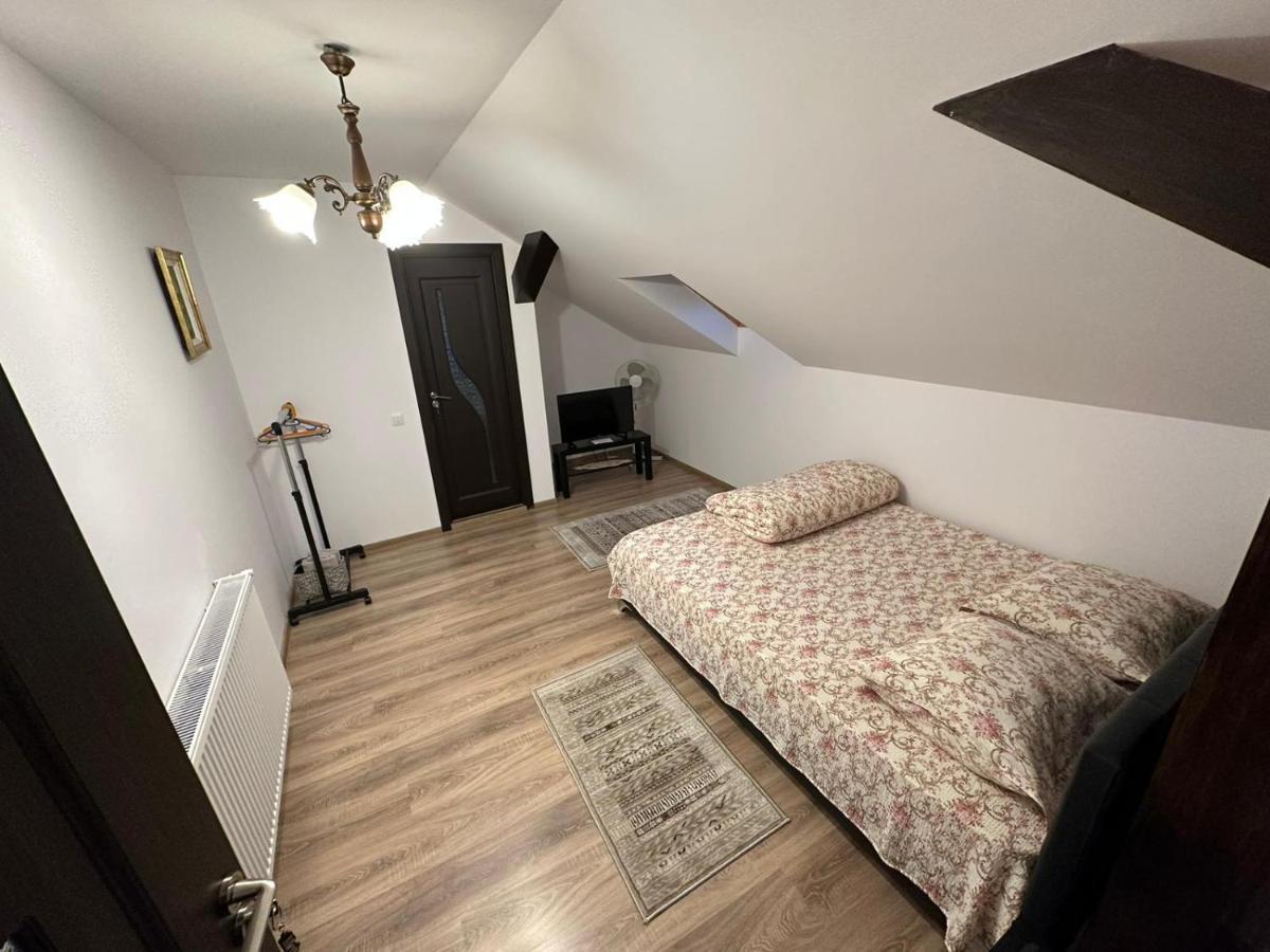 Casa De Vacanta Mirela Novaci-Străini Buitenkant foto