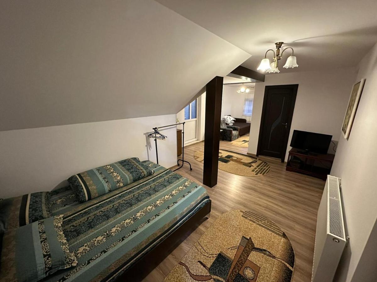 Casa De Vacanta Mirela Novaci-Străini Buitenkant foto