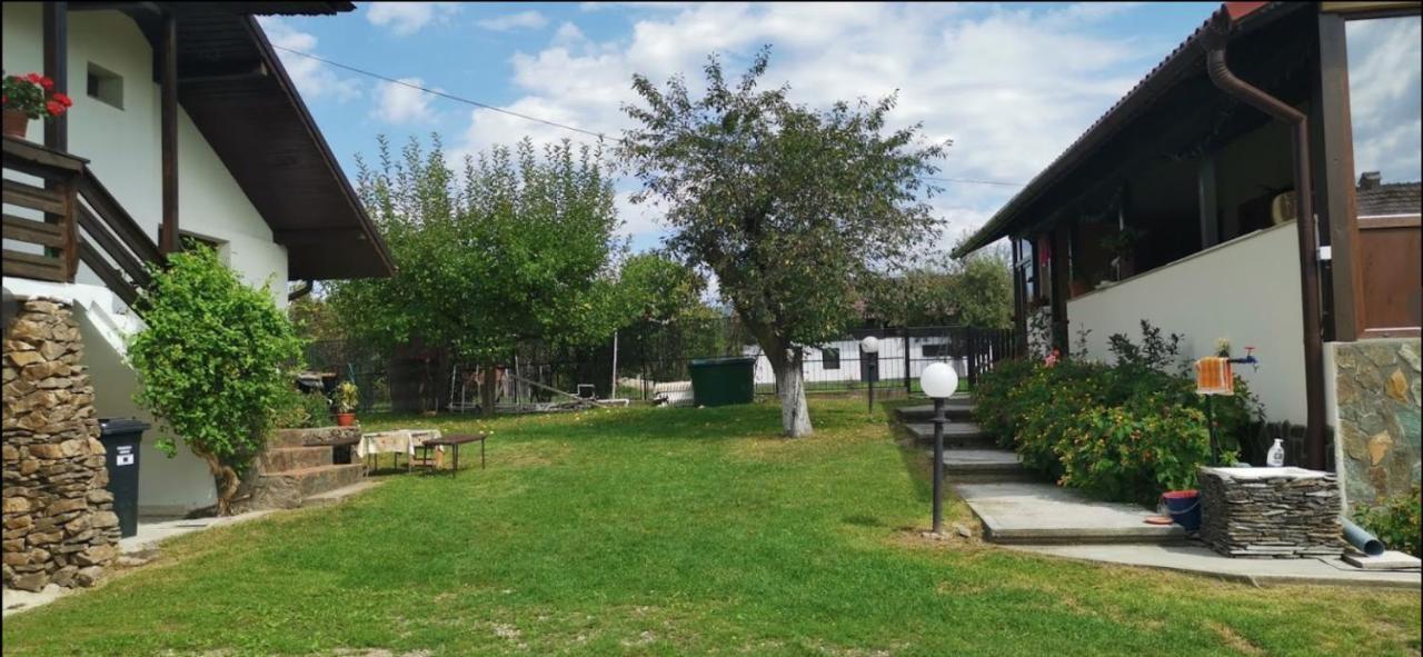 Casa De Vacanta Mirela Novaci-Străini Buitenkant foto