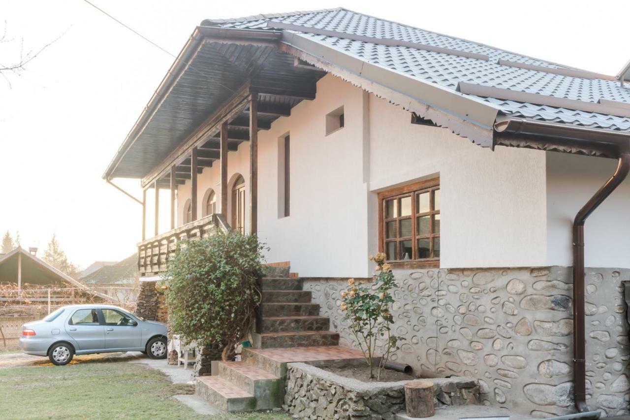 Casa De Vacanta Mirela Novaci-Străini Buitenkant foto