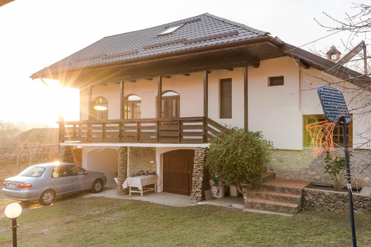 Casa De Vacanta Mirela Novaci-Străini Buitenkant foto