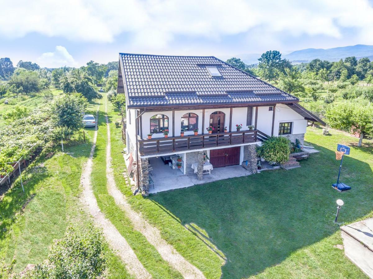 Casa De Vacanta Mirela Novaci-Străini Buitenkant foto