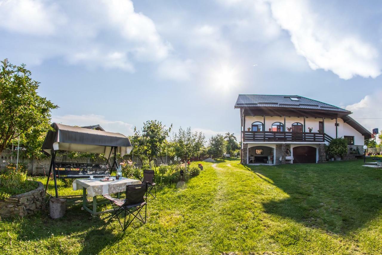 Casa De Vacanta Mirela Novaci-Străini Buitenkant foto